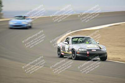 media/Jan-26-2025-CalClub SCCA (Sun) [[cfcea7df88]]/Group 4/Race/